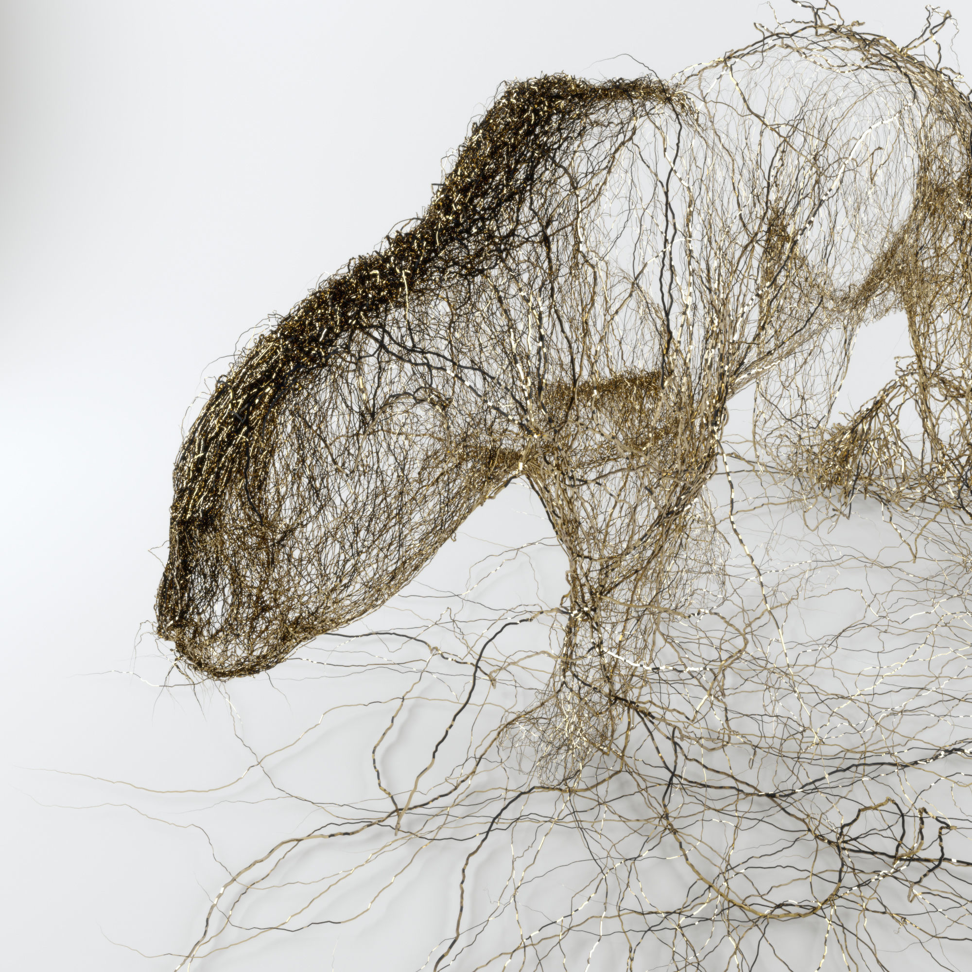 Wire Leopard 3D model_1