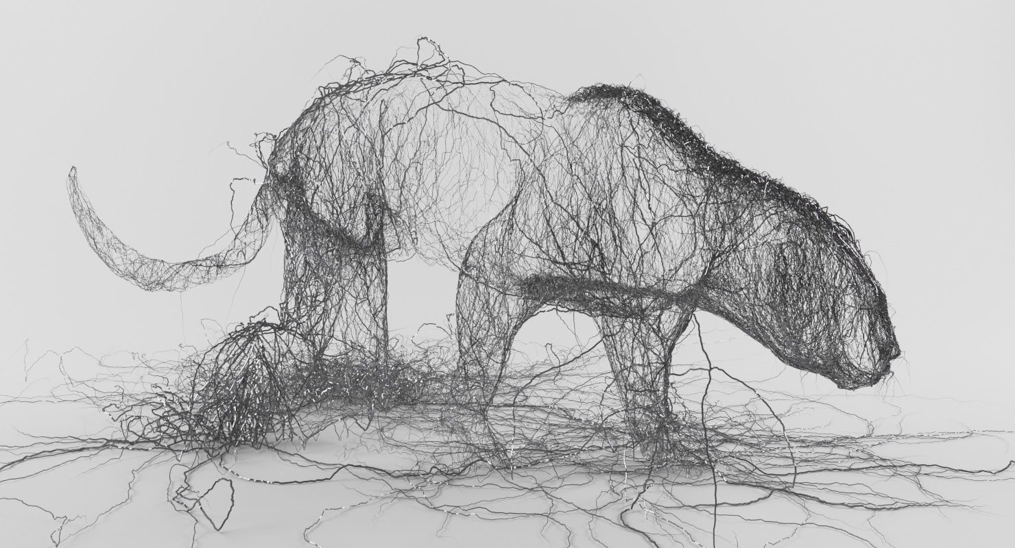Wire Leopard 3D model_2
