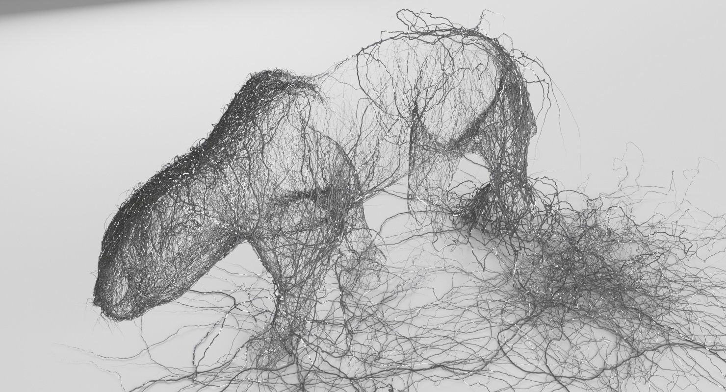 Wire Leopard 3D model_4