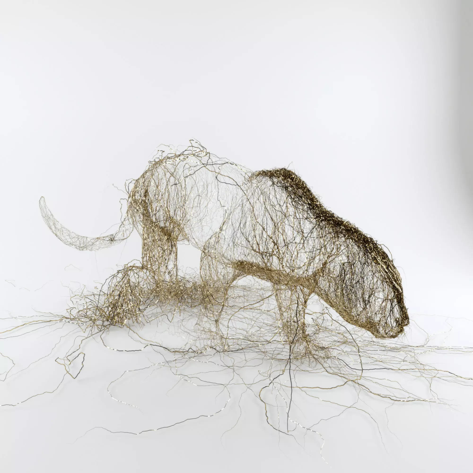 Wire Leopard 3D model_0