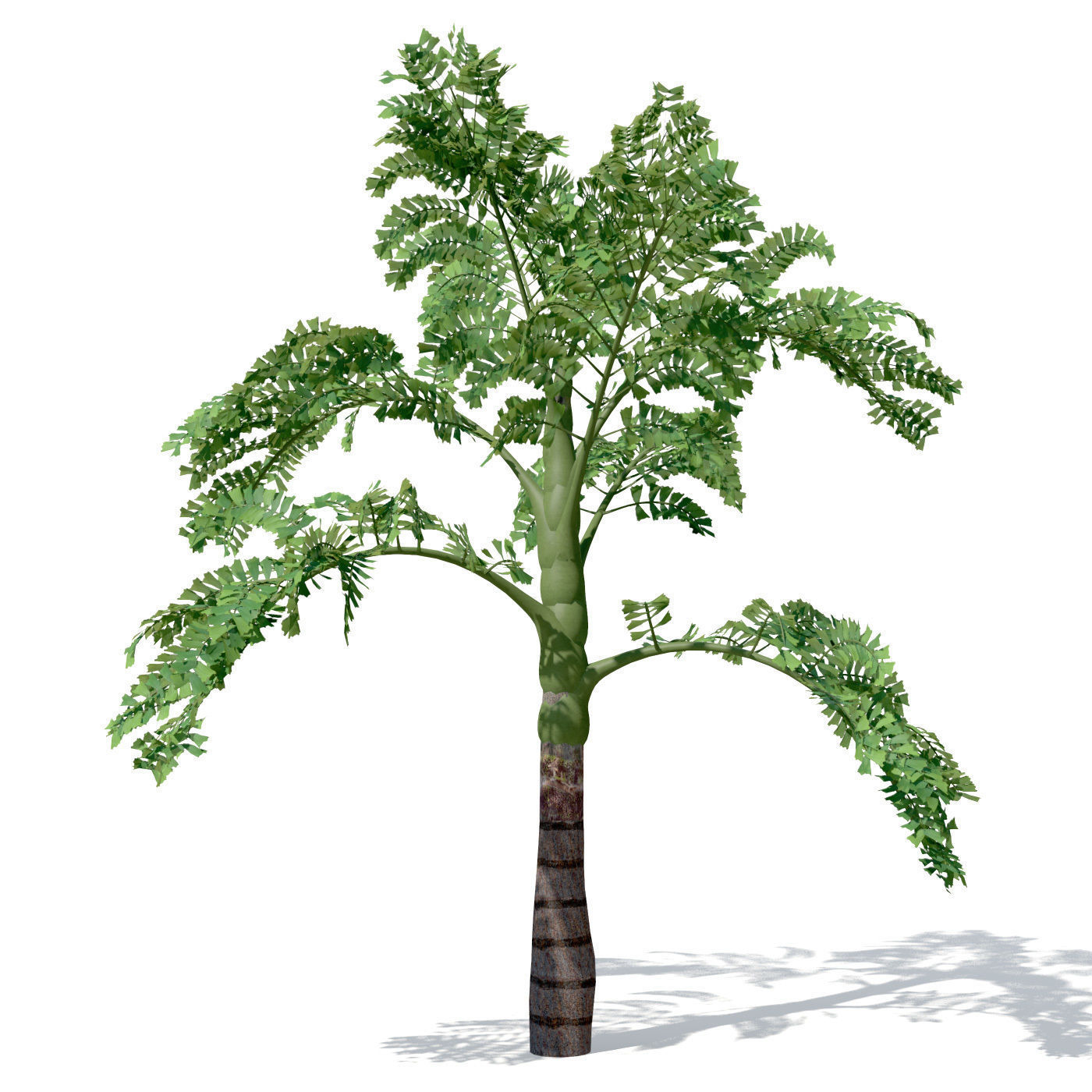 XfrogPlants Jaggery Palm 3D model_6