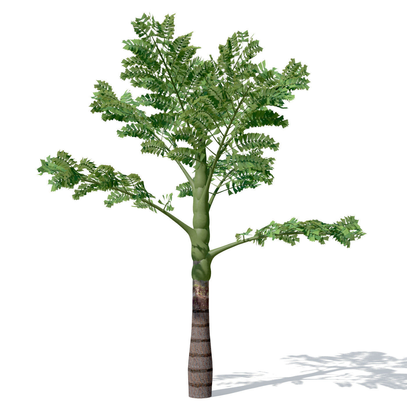 XfrogPlants Jaggery Palm 3D model_1