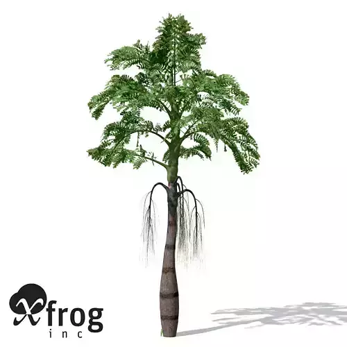 XfrogPlants Jaggery Palm 3D model