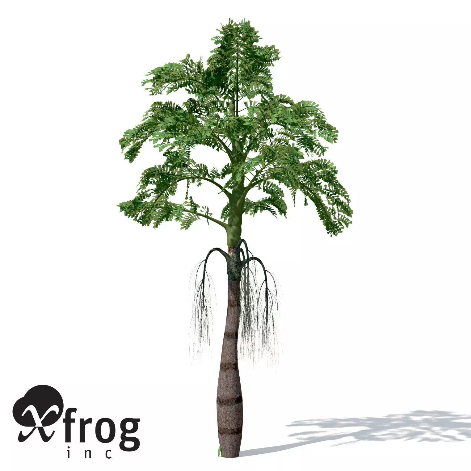 XfrogPlants Jaggery Palm 3D model_0