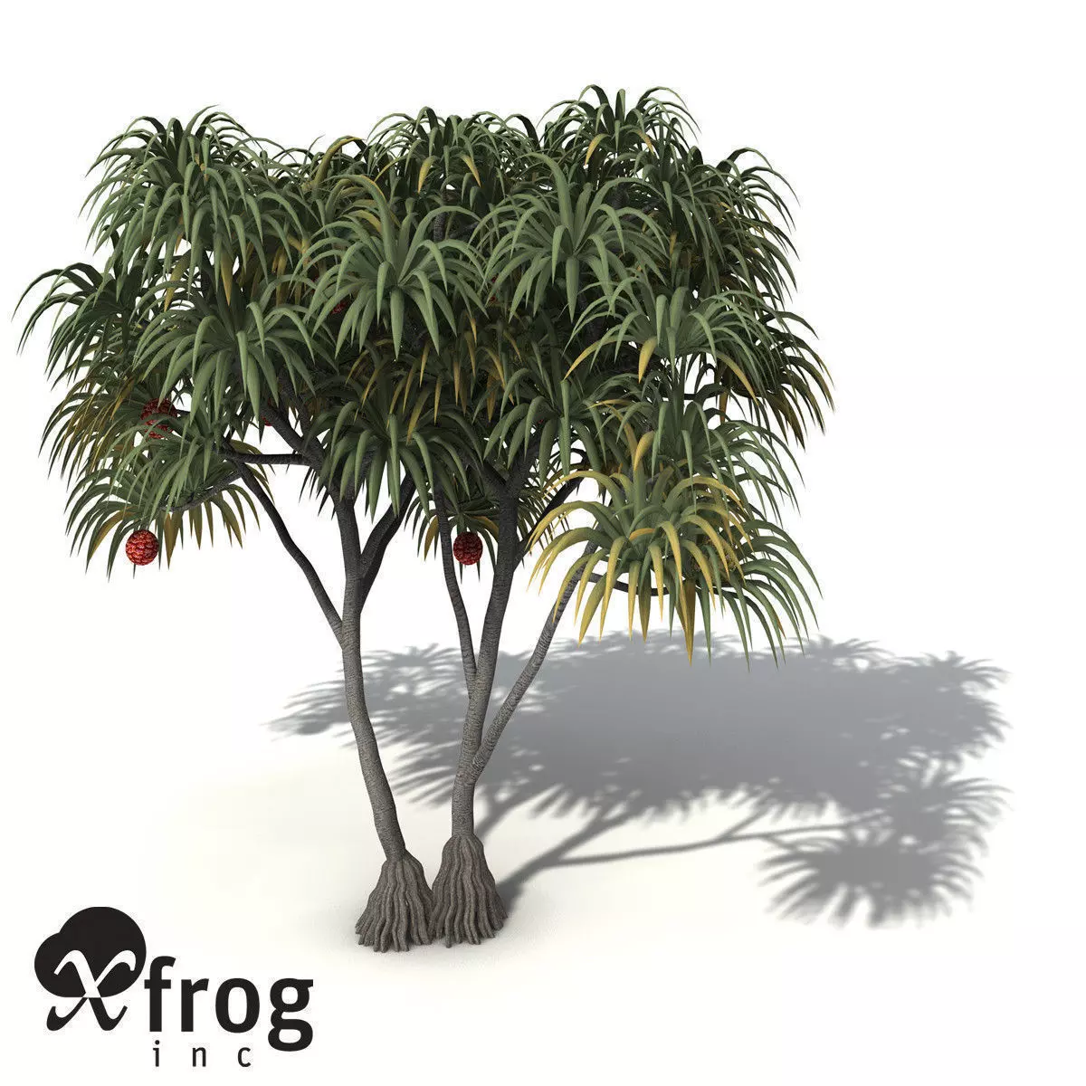 XfrogPlants Coastal Screw Pine 3D model_0