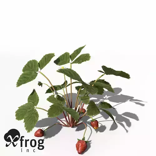 XfrogPlants Strawberry 3D model