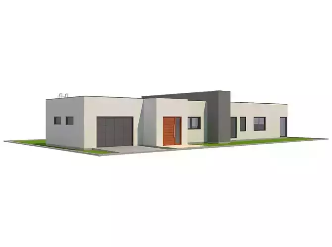 Modern House 1