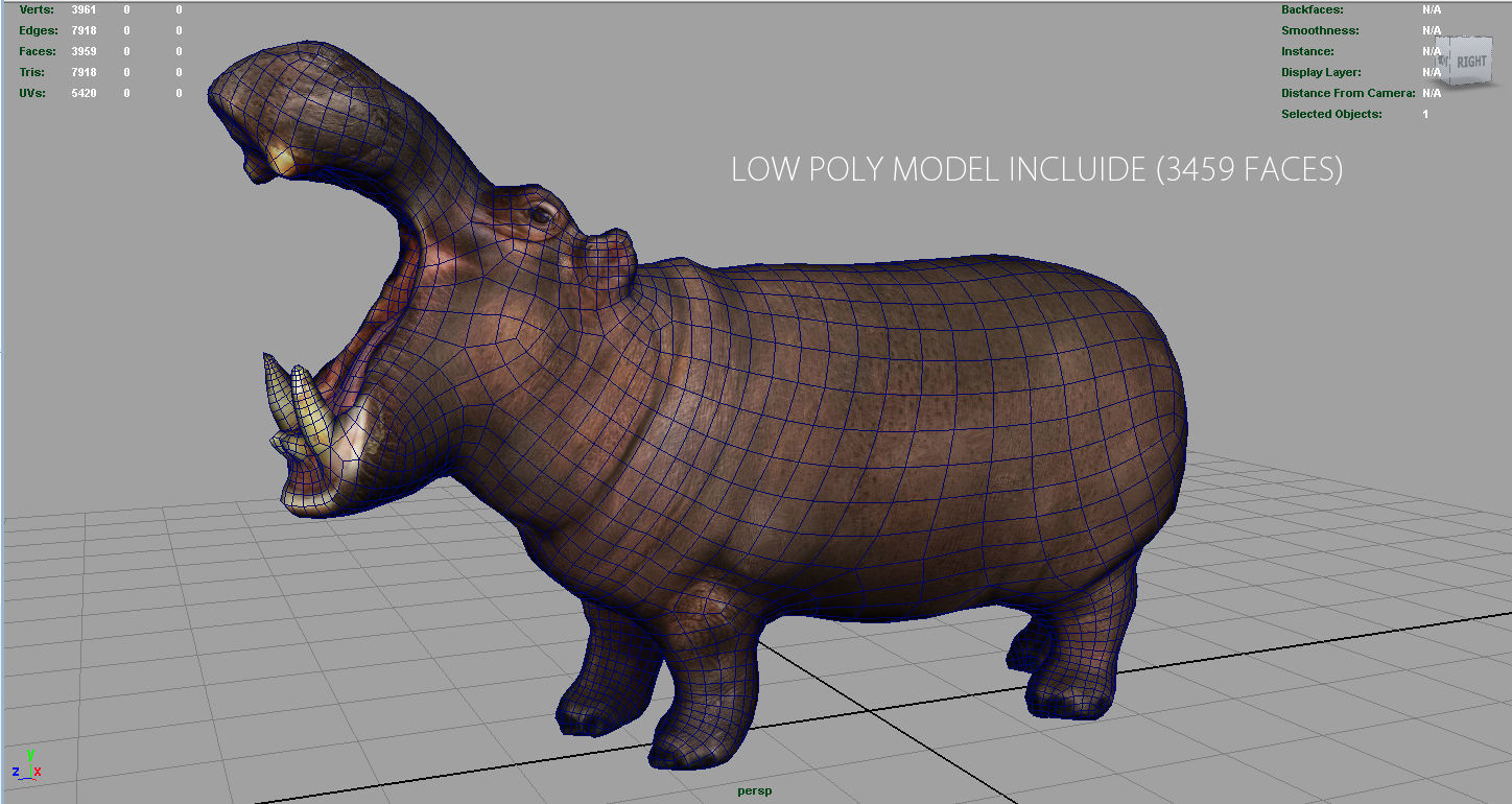 African Hippopotamus Low-poly 3D model_9
