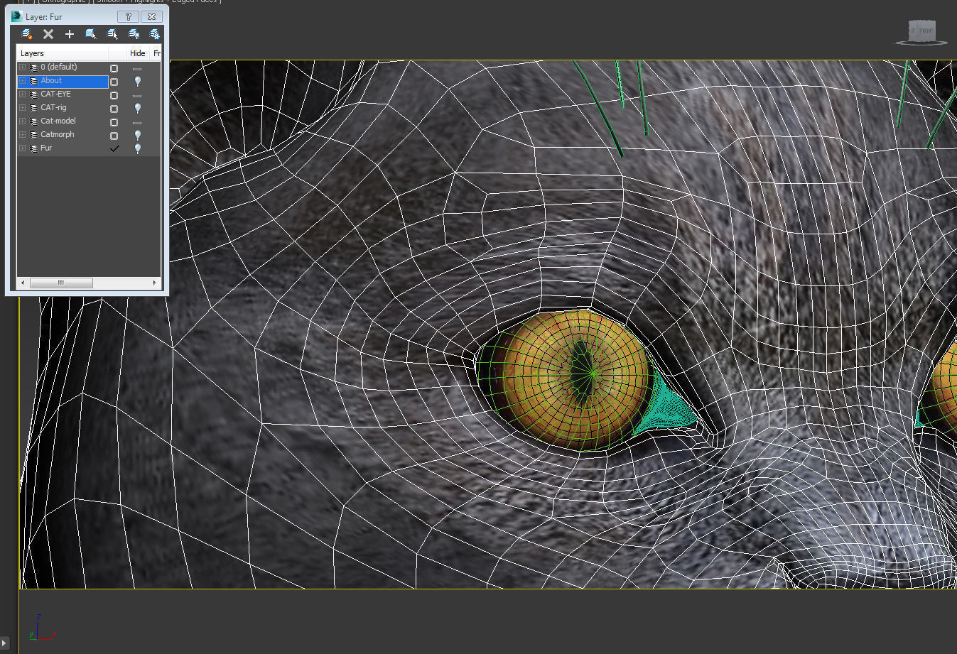 Cat British 3D model_11