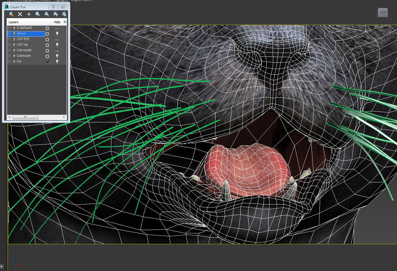 Cat British 3D model_9