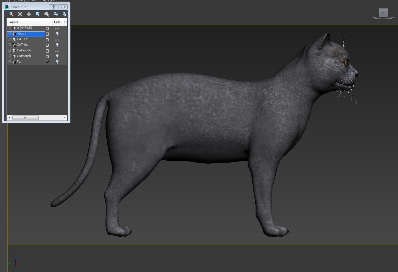 Cat British 3D model_7