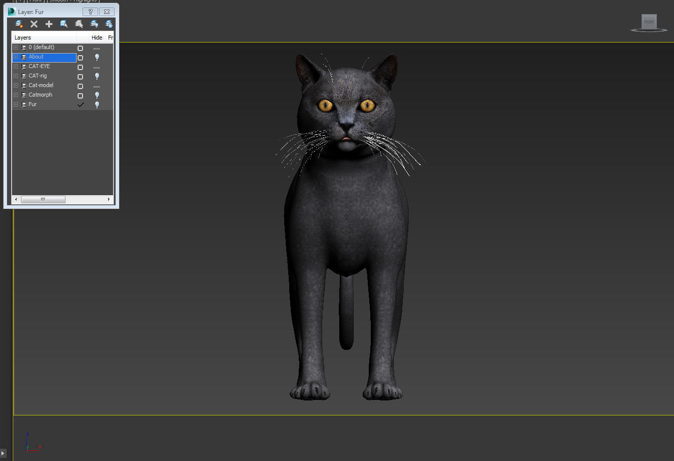 Cat British 3D model_5