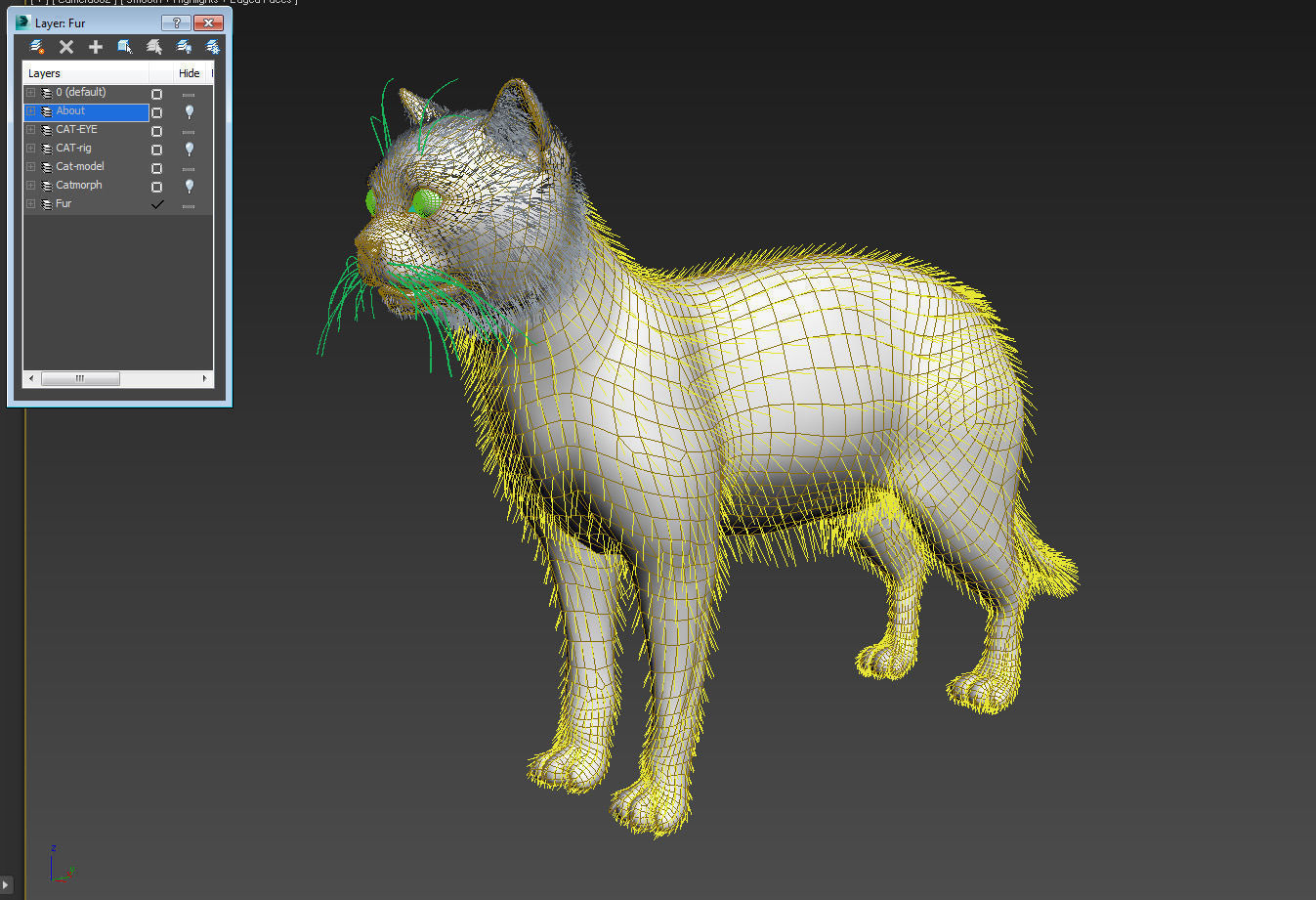 Cat British 3D model_6