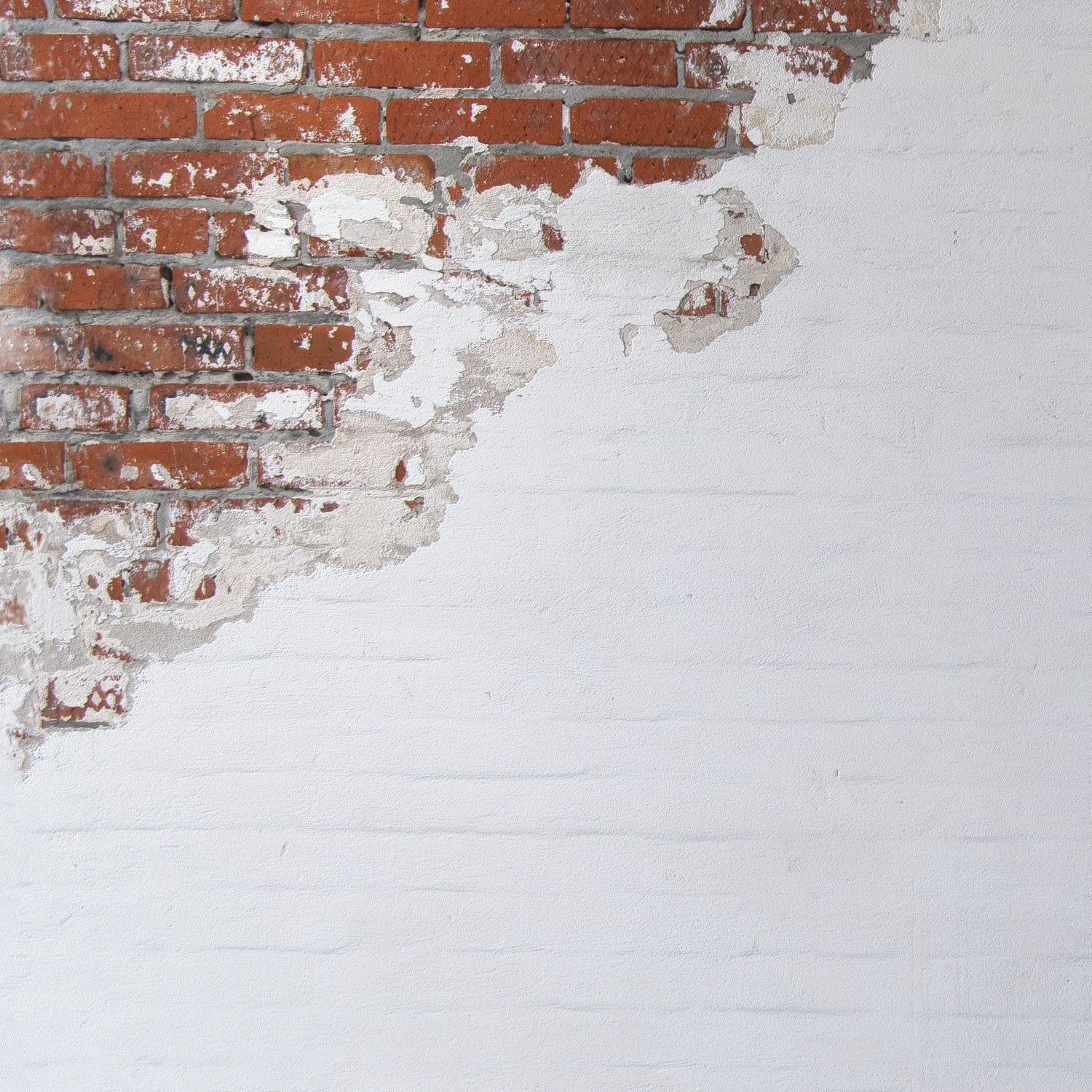 Brickwork 63 Texture_4