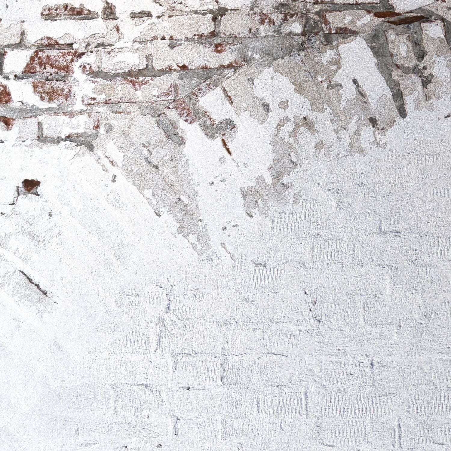 Brickwork 69 Texture_2