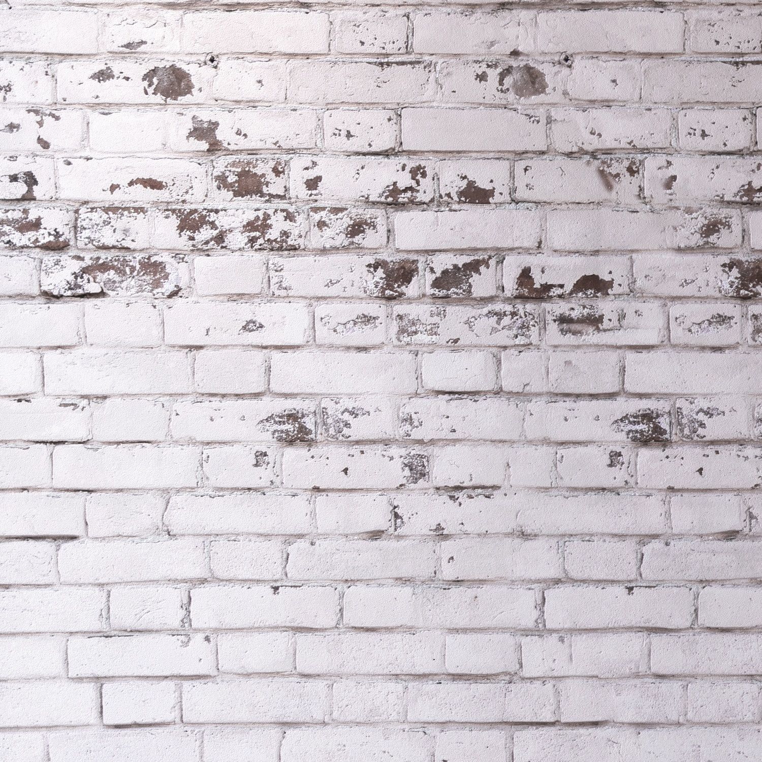 Brickwork 78 Texture_2