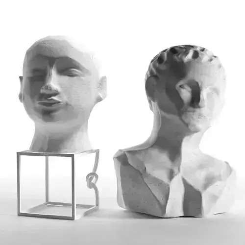 Head Sculptures