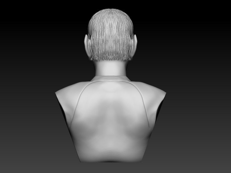 Spock Bust 3D print model_4