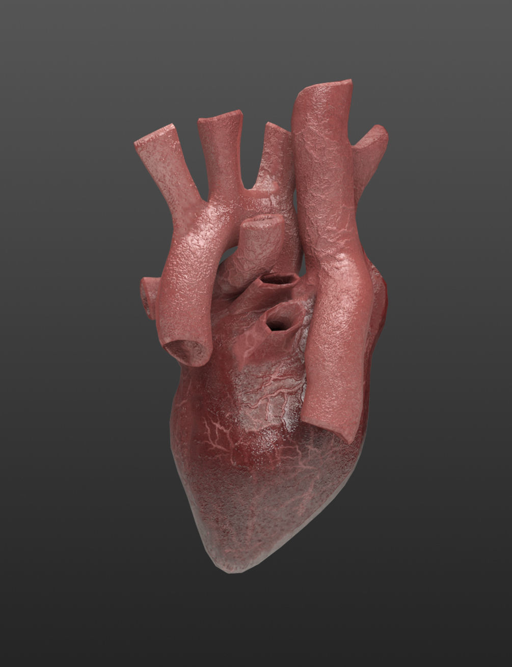 Heart Organ Realistic Game Ready 3D model_2