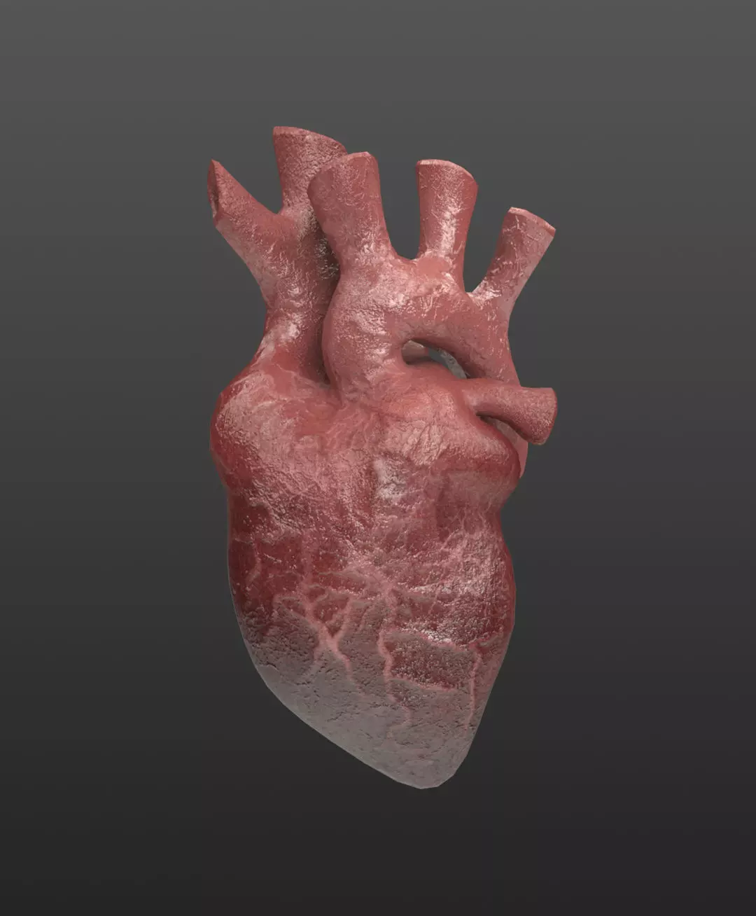 Heart Organ Realistic Game Ready 3D model_0