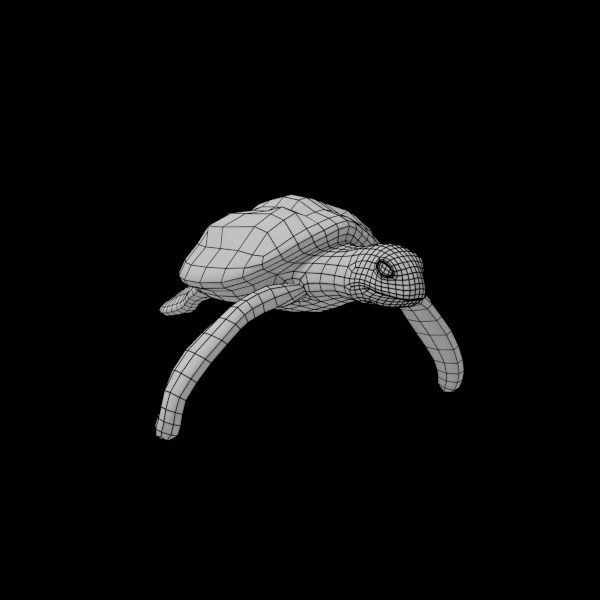 Sea Turtle Low-poly 3D model_2
