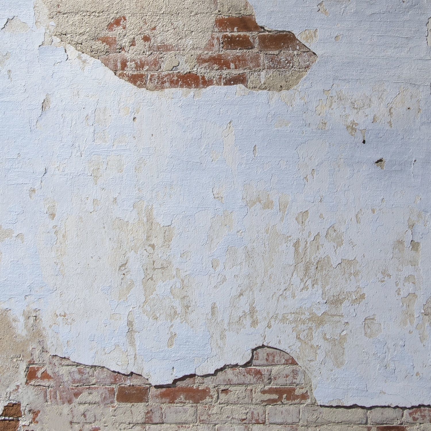  plaster 164 Texture_2