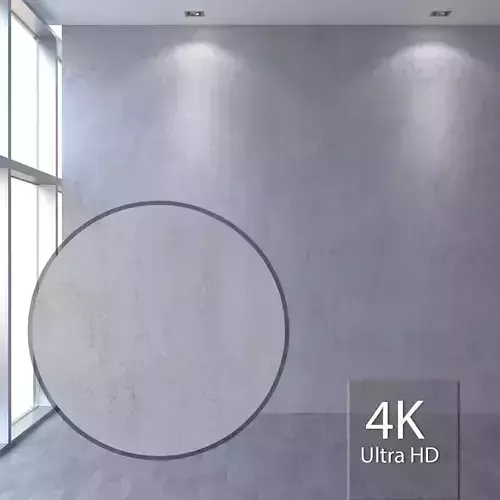 Decorative plaster 313