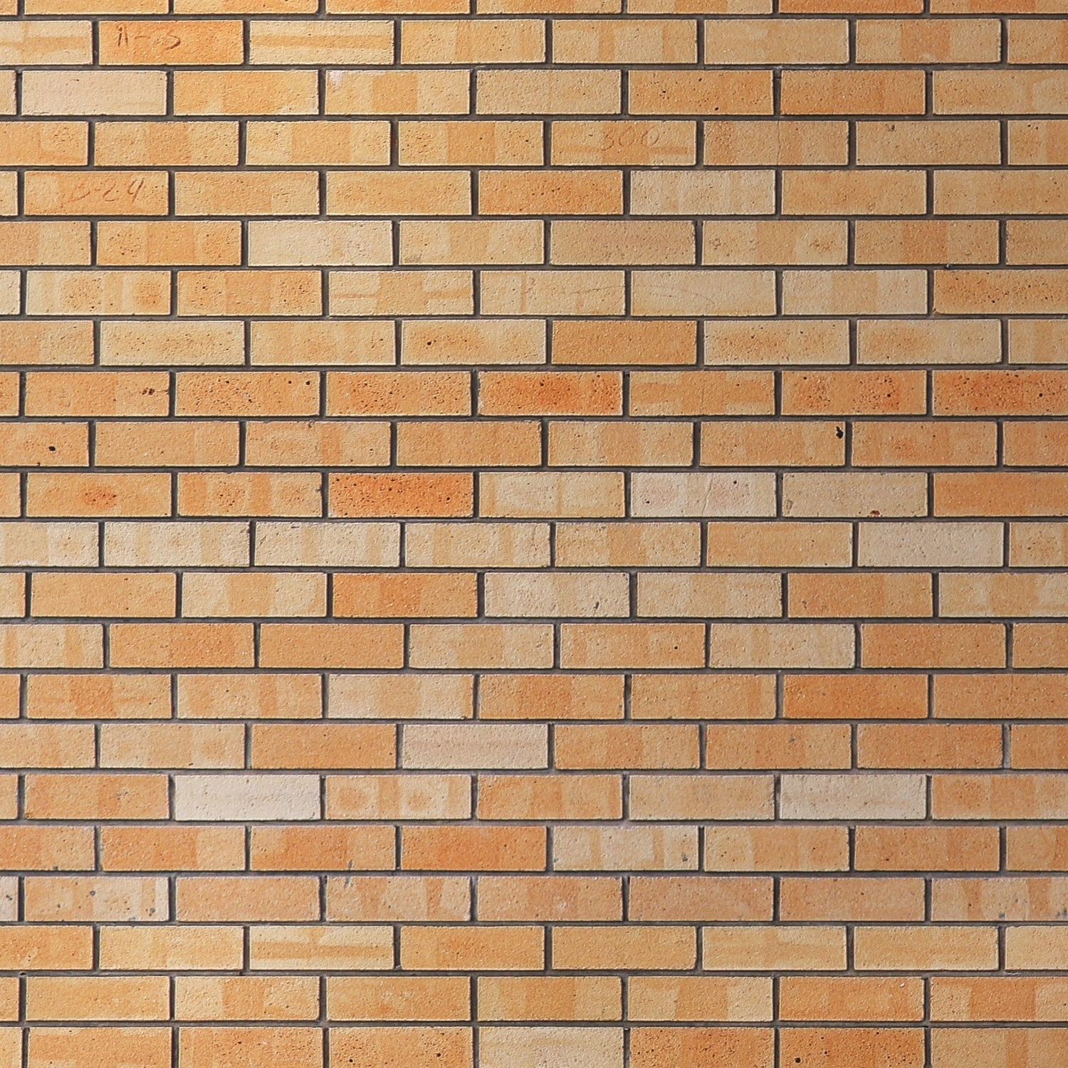 Brickwork 322 Texture_2