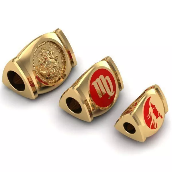 CHARMS gold plated zodiac 3D print model_0