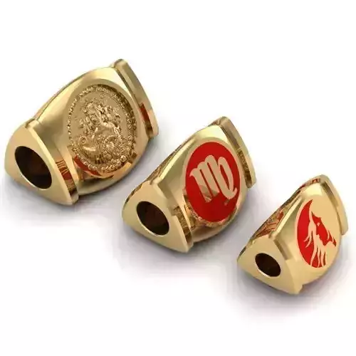 CHARMS gold plated zodiac 3D print model