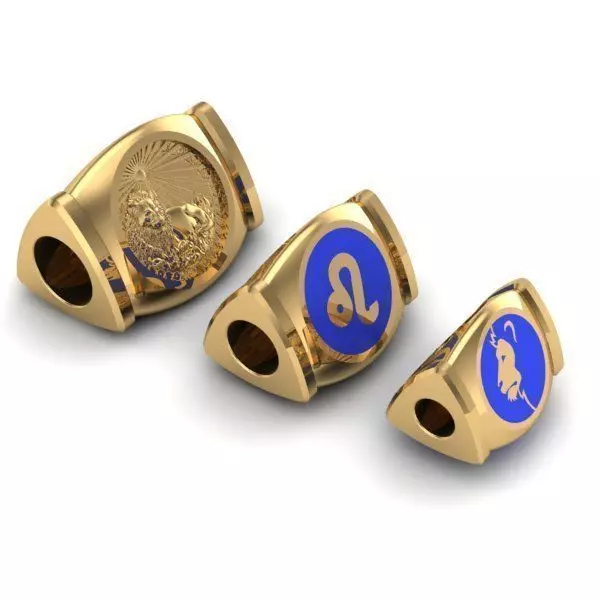 CHARMS zodiac - zodiac - zodiac - zodiac - zodia 3D print model_0