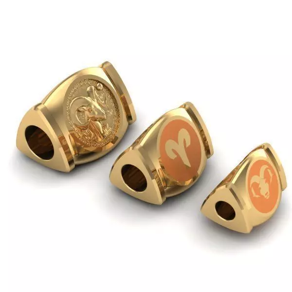 CHARMS gold zodiac ring 3D print model_0
