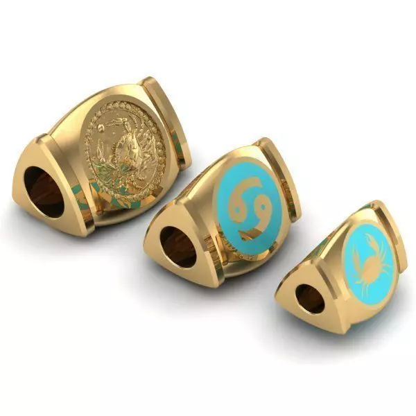 CHARMS pair of gold and turquoise zodiac 3D print model_0