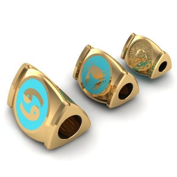 CHARMS pair of gold and turquoise zodiac 3D print model_2