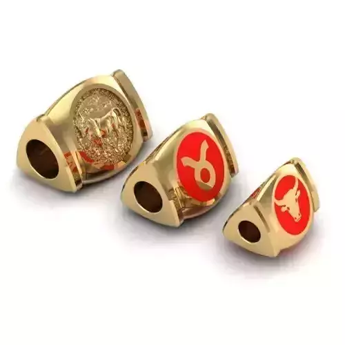 CHARMS pair of rings with different measurements 3D print model