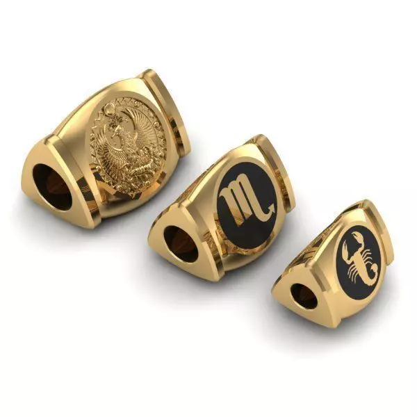 CHARMS zodiac - zodiac - zodiac - zodiac - zodia 3D print model_0