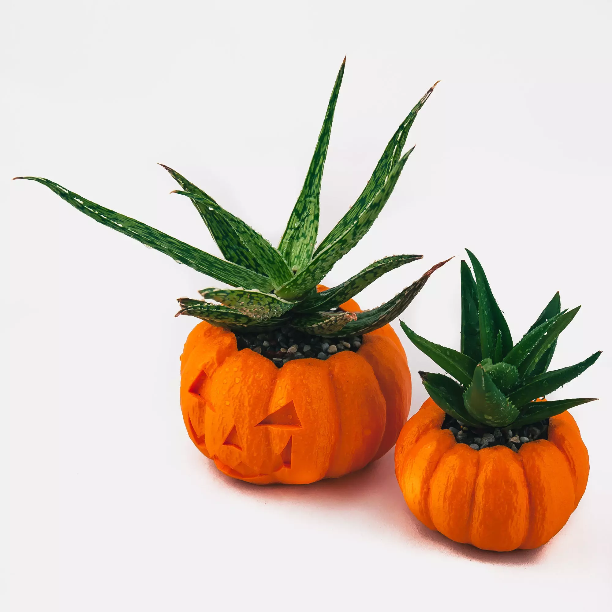 Pumpkin Planter - Halloween Planter - Cactus Planter  Cactus Pot 3D print model_0