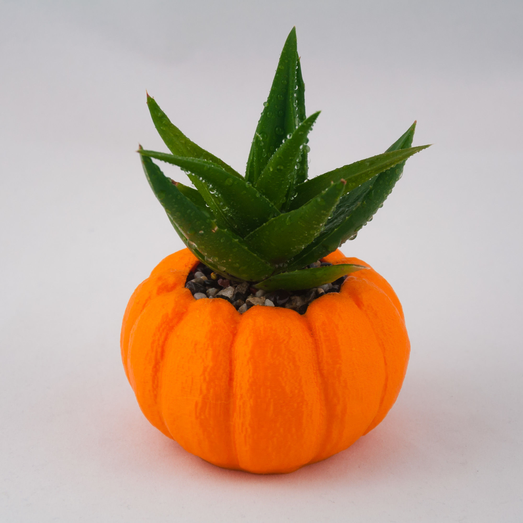 Pumpkin Planter - Halloween Planter - Cactus Planter  Cactus Pot 3D print model_1