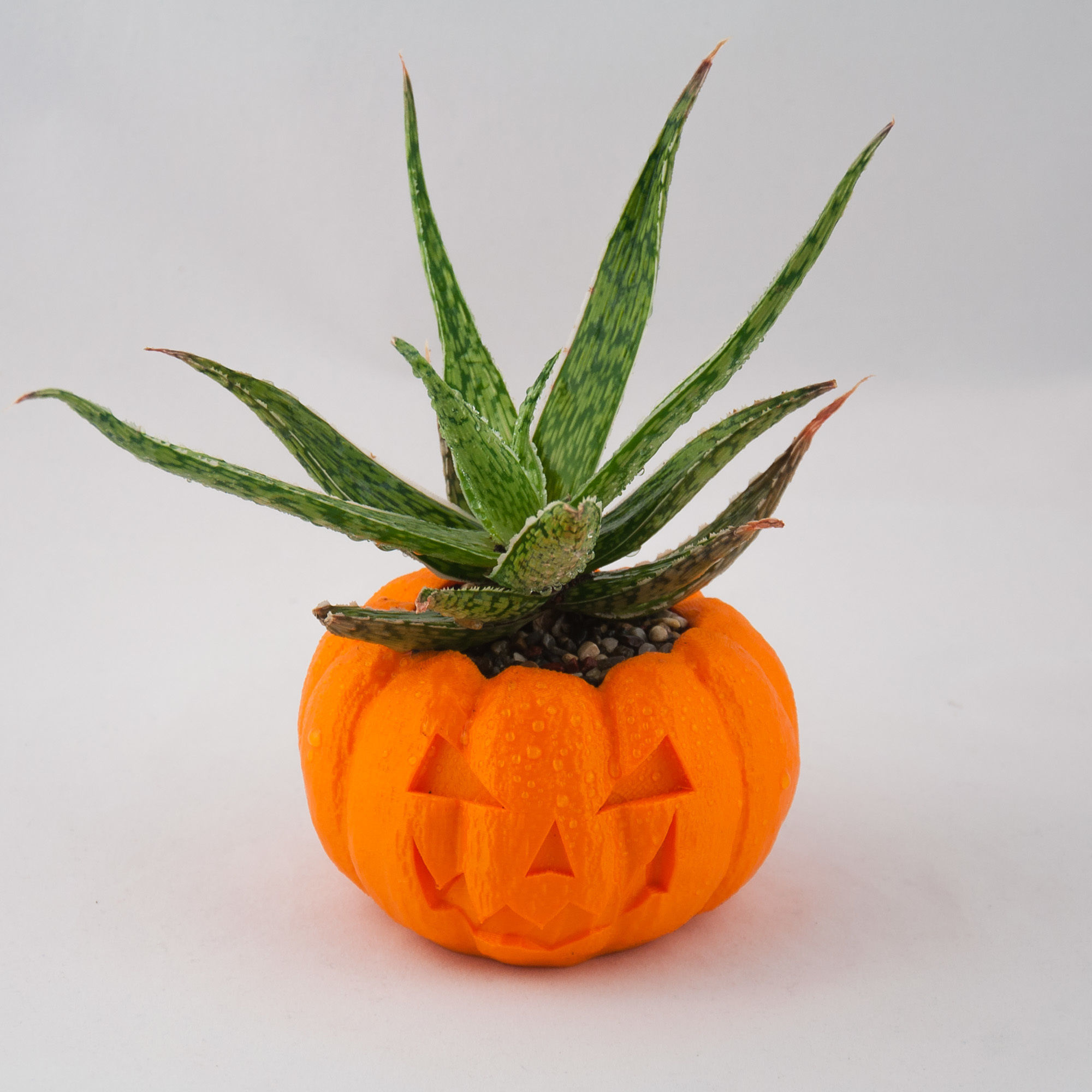 Pumpkin Planter - Halloween Planter - Cactus Planter  Cactus Pot 3D print model_2