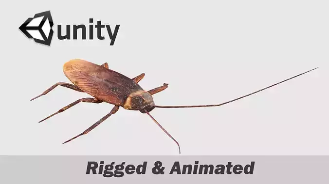 Cockroaches Animated Rigged