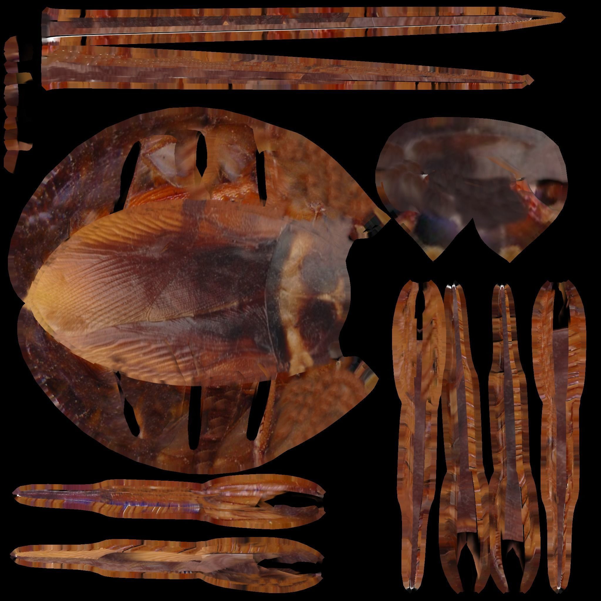 Cockroaches Animated Rigged Low-poly 3D model_4