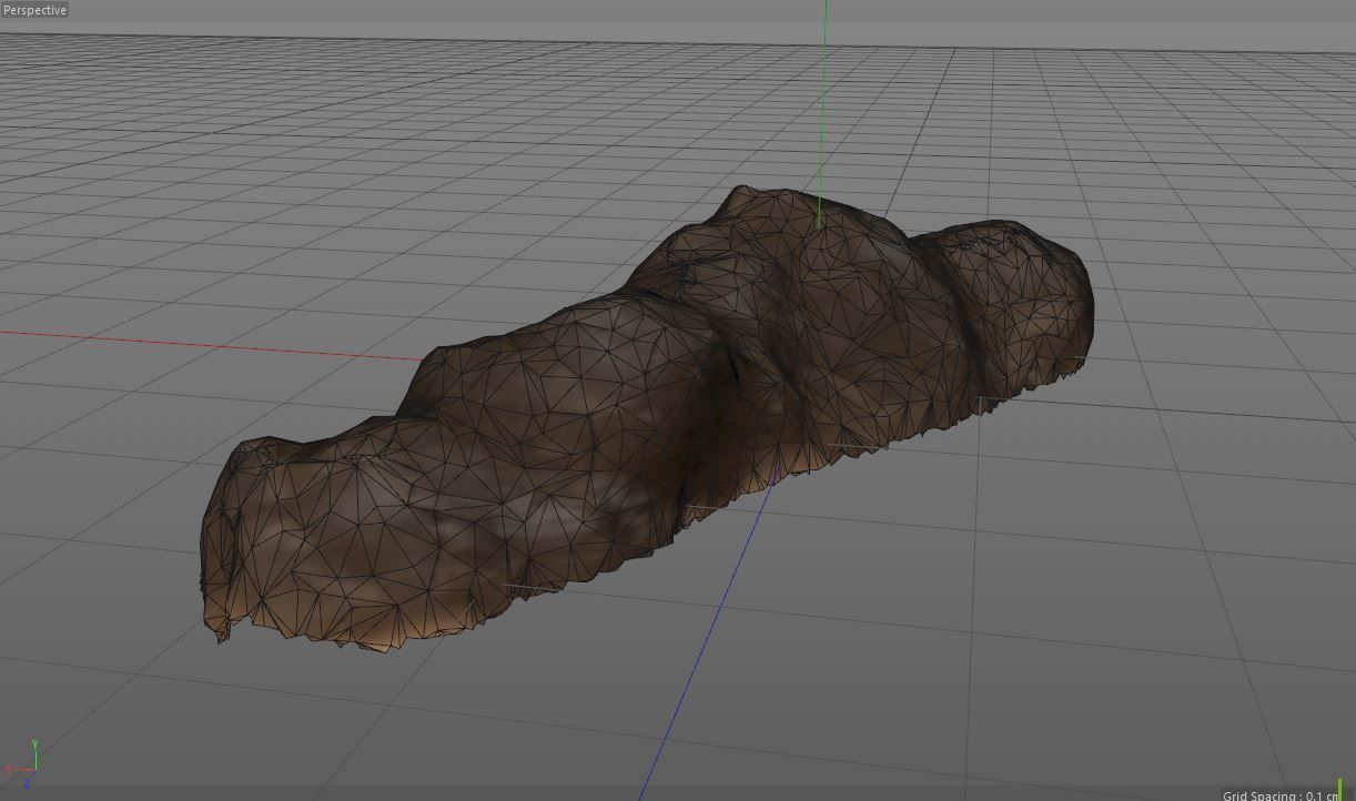 3D SCAN POO SHIT EXCREMENT DUNG Low-poly 3D model_12