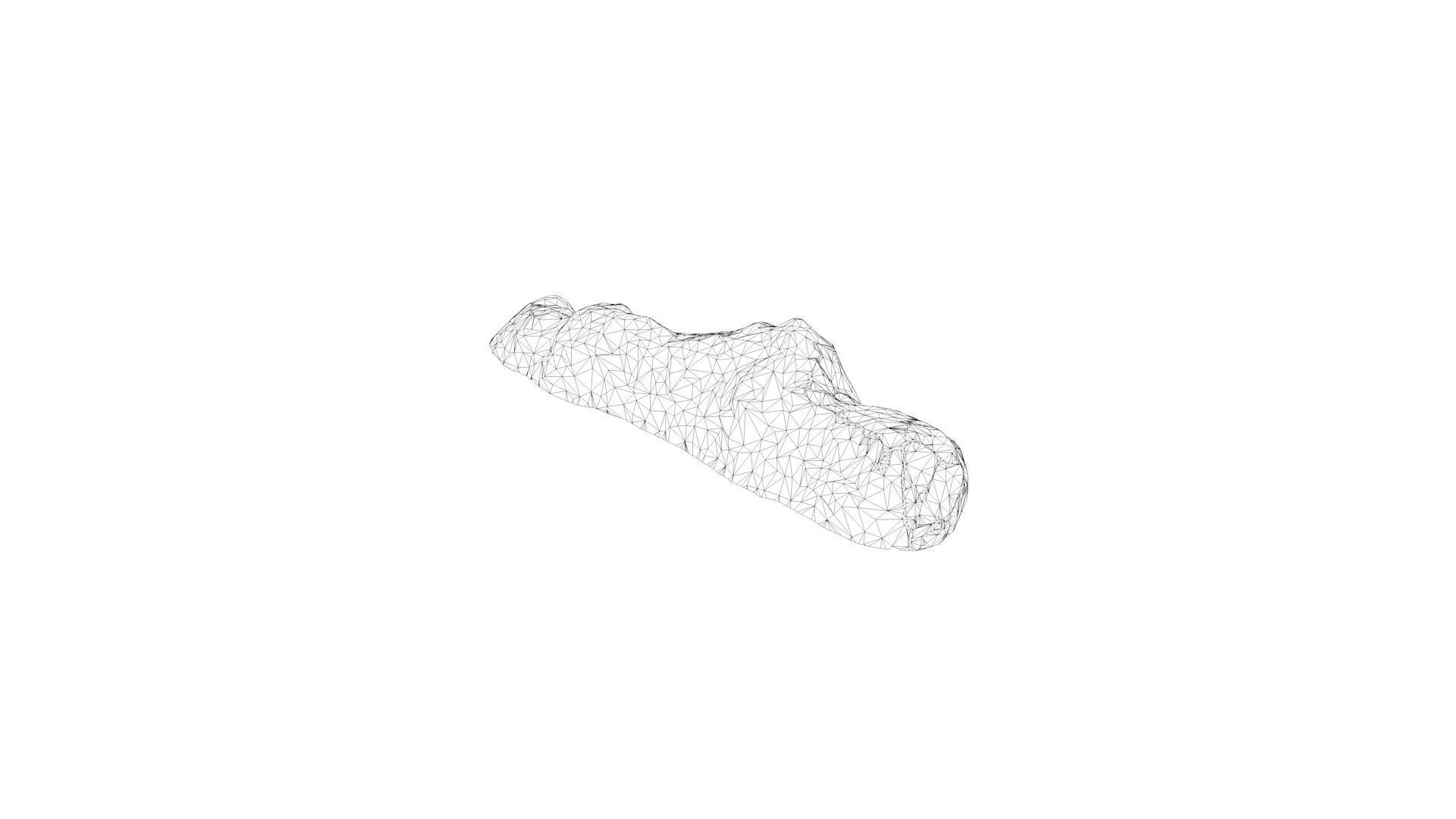 3D SCAN POO SHIT EXCREMENT DUNG Low-poly 3D model_9