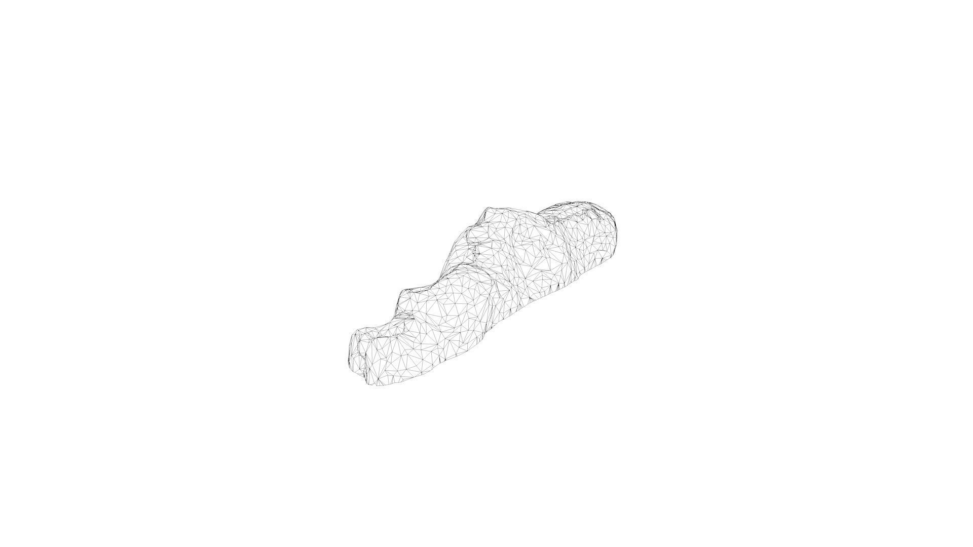 3D SCAN POO SHIT EXCREMENT DUNG Low-poly 3D model_10