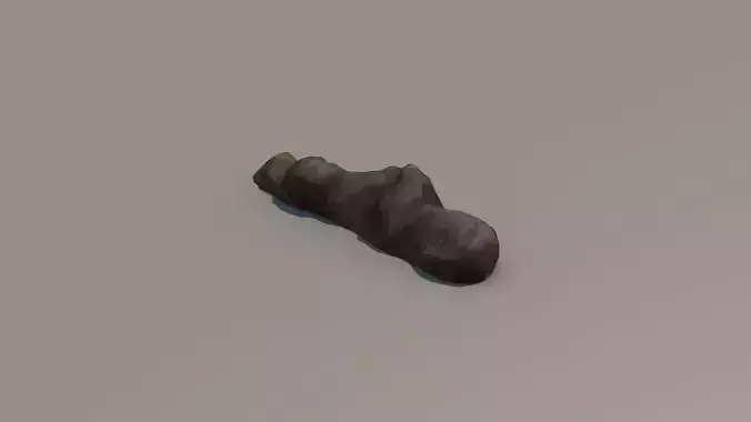 3D SCAN POO SHIT EXCREMENT DUNG Low-poly 3D model