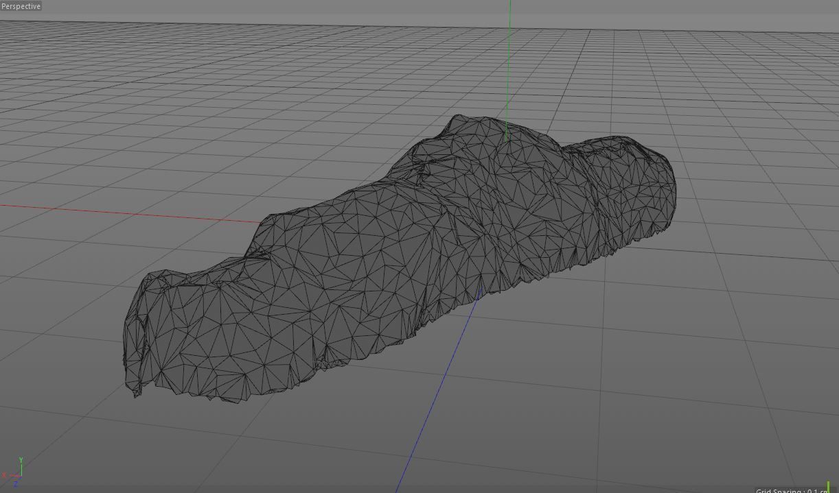 3D SCAN POO SHIT EXCREMENT DUNG Low-poly 3D model_13