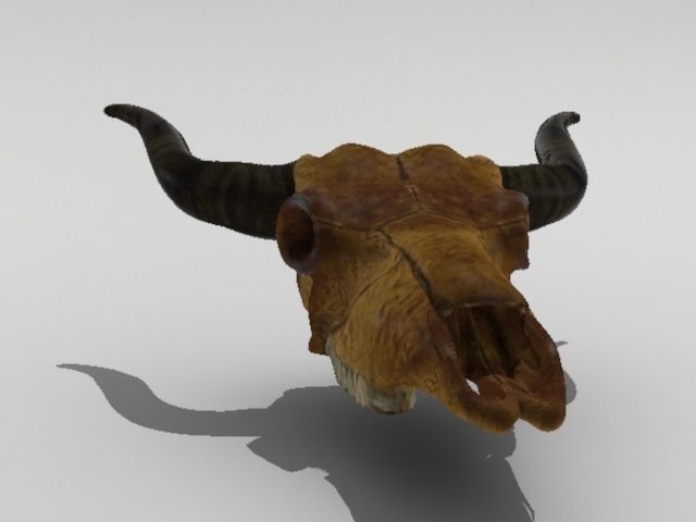 Cow Skull Low-poly 3D model_1