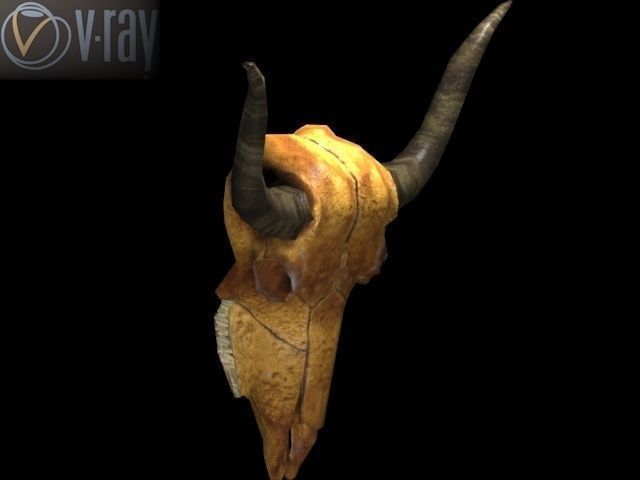 Cow Skull Low-poly 3D model_13