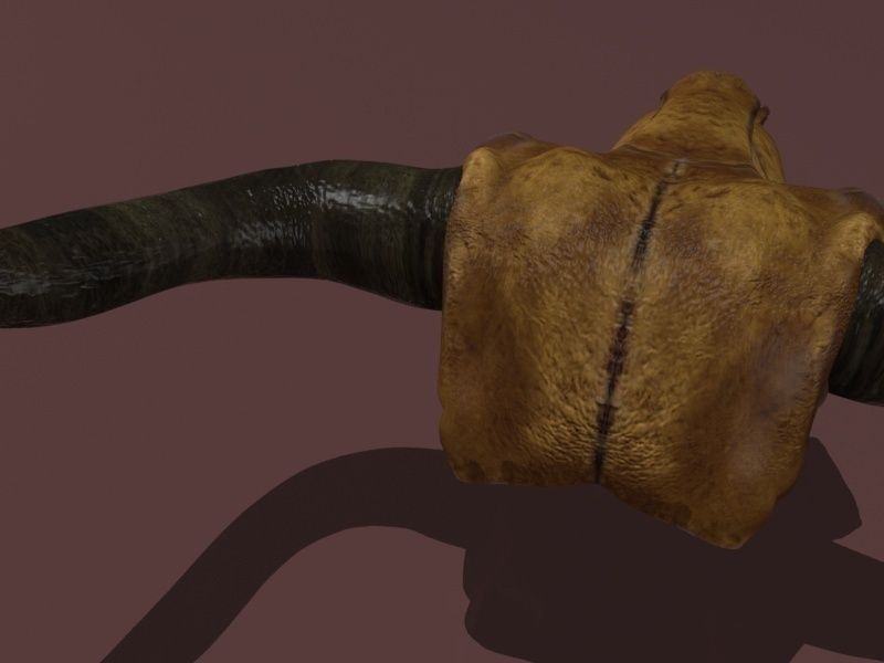 Cow Skull Low-poly 3D model_9