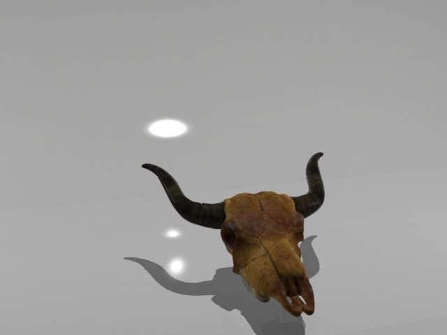 Cow Skull Low-poly 3D model_4